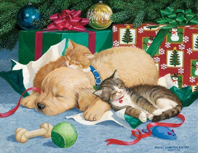Puppy and Kittens Sleeping