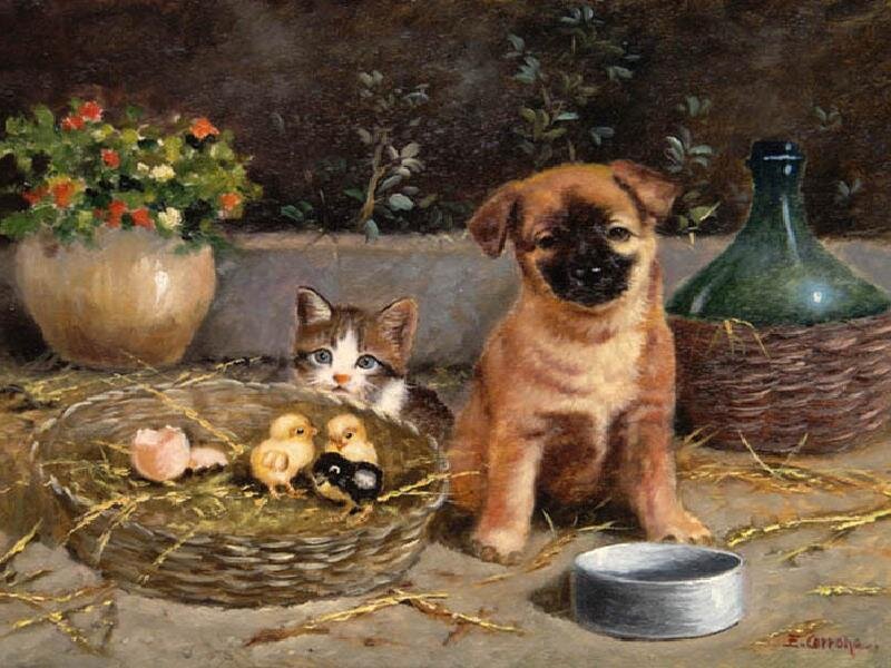 Puppy and kittens with chicks