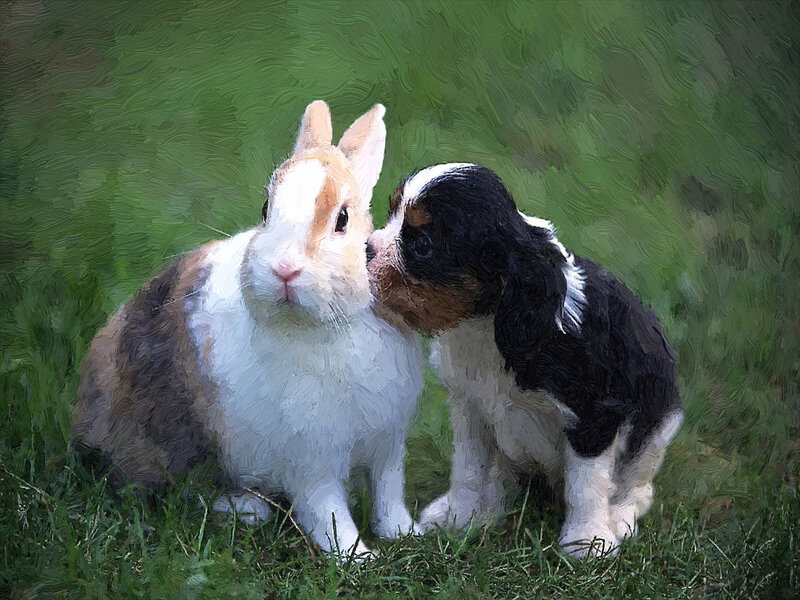 Puppy and Rabbit — Green, Peaceful
