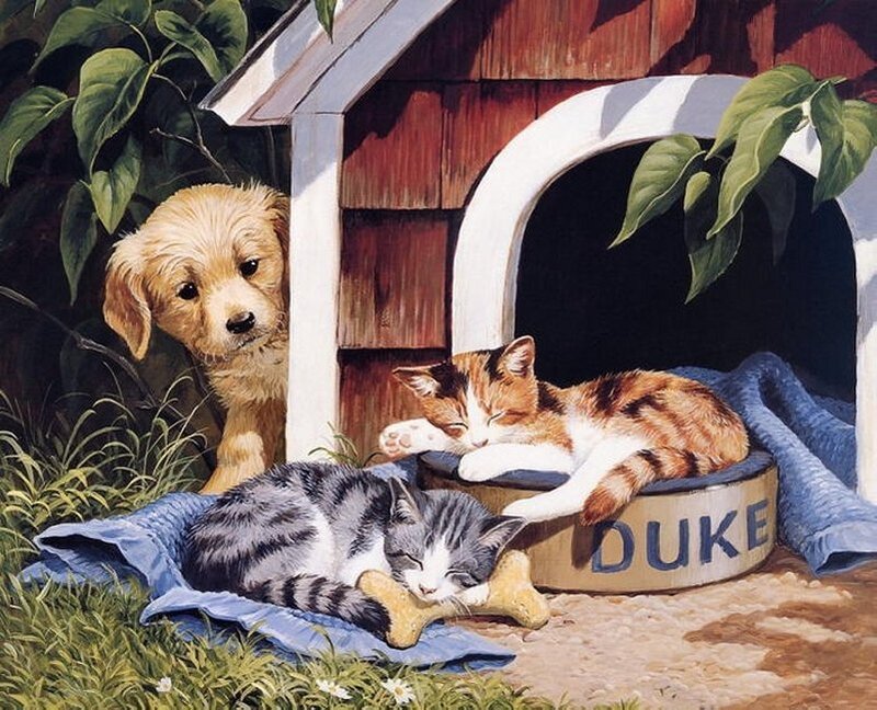 Puppy and Two Cats