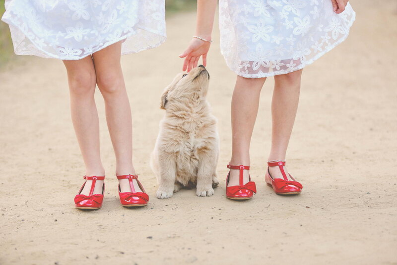 Puppy Between Two Girls