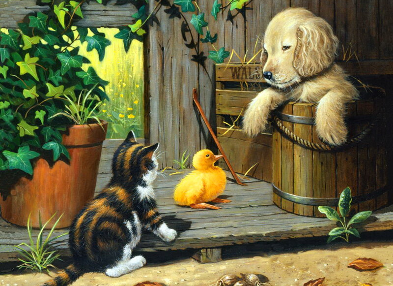 Puppy Cat and Duckling
