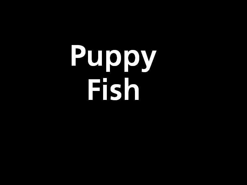 Puppy Fish Text