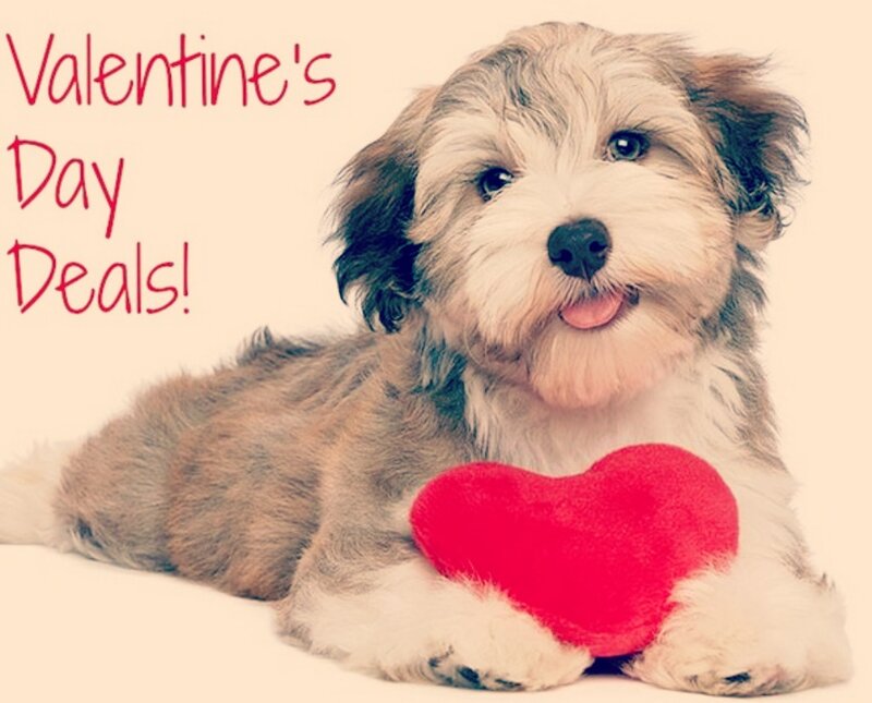 Puppy Holding Heart — White