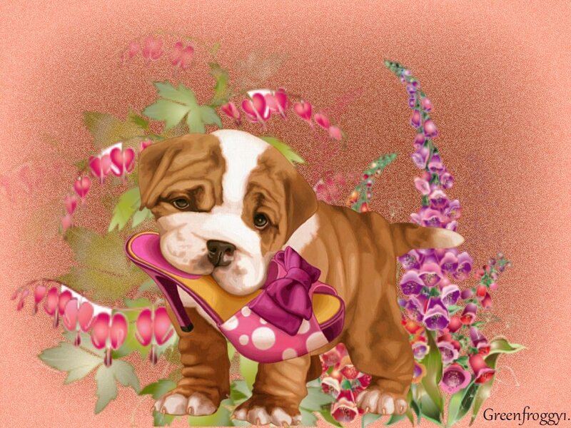 Puppy Holding Shoe — Pink
