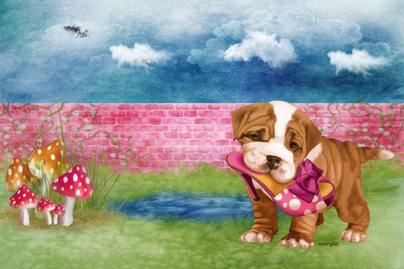 Puppy Holding Shoe
