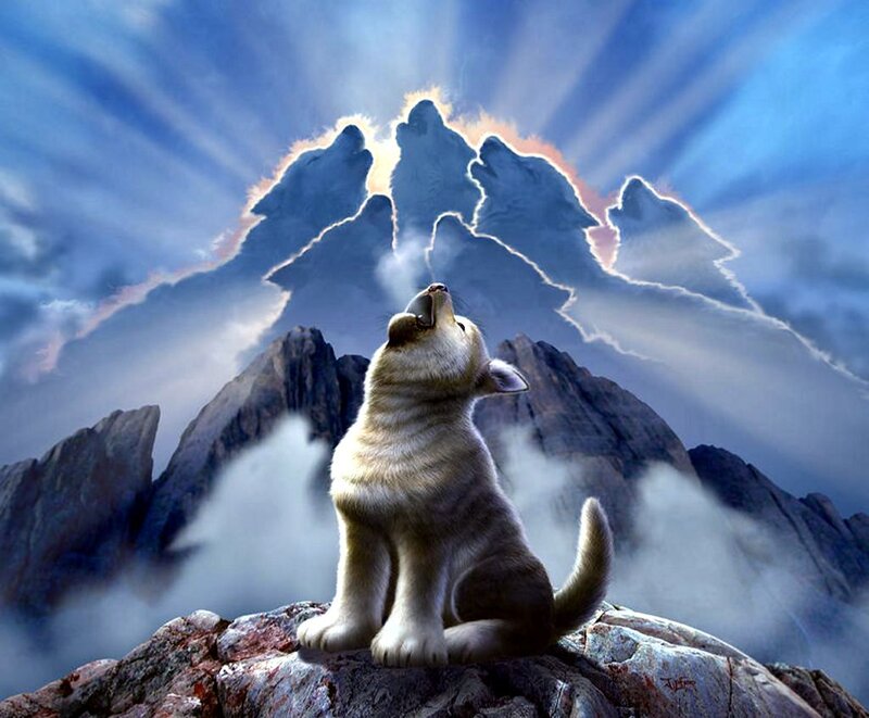 Puppy Howling at Mountain — Blue