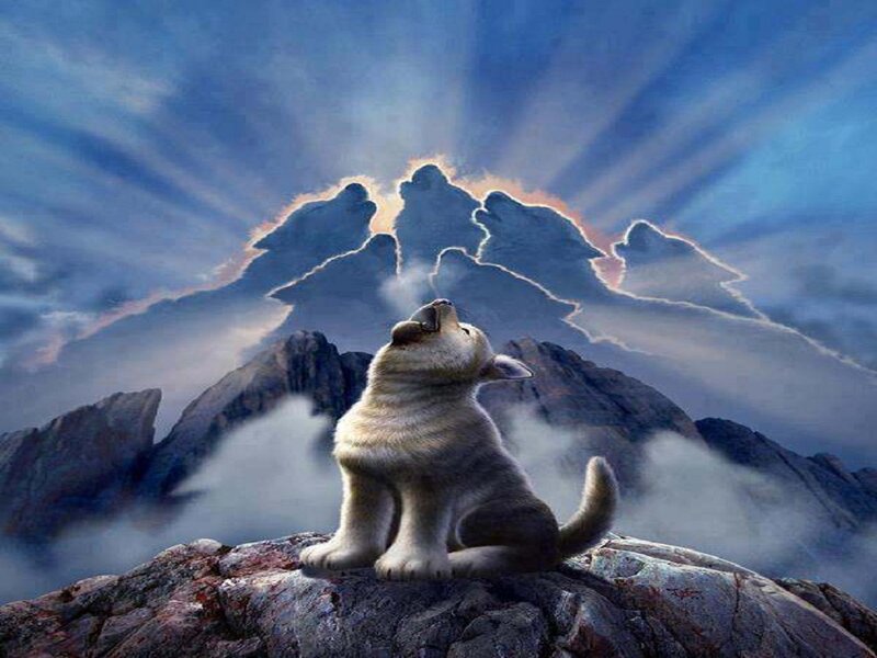 Puppy Howling at Mountain