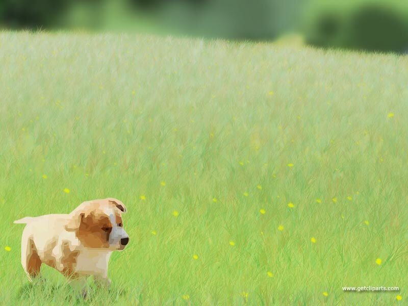 puppy in a grassy field