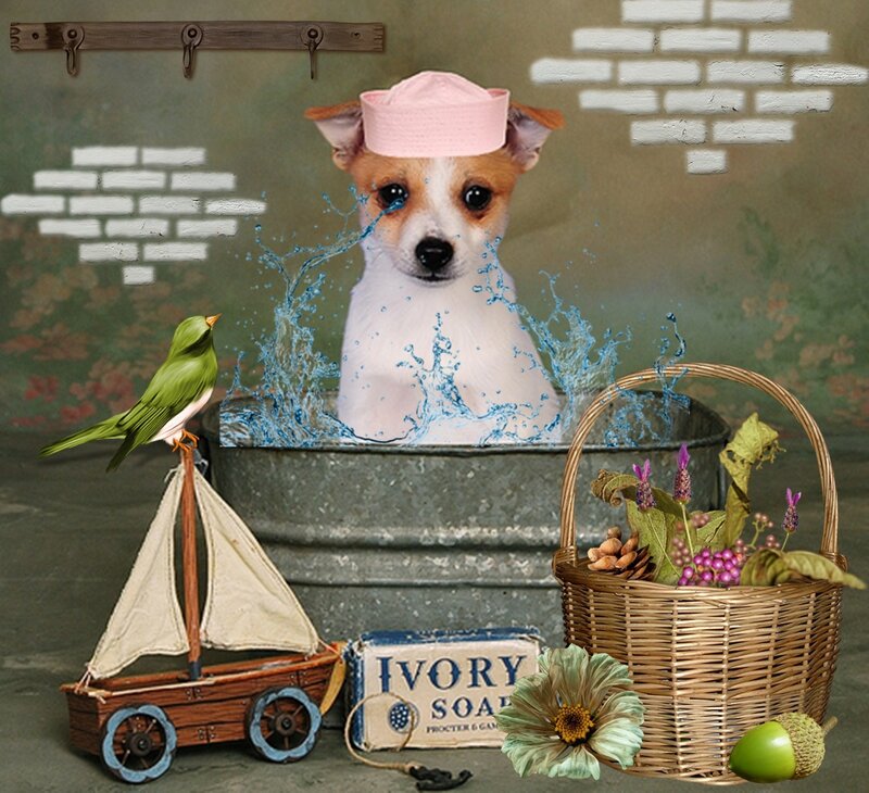 Puppy in Bathtub — Green