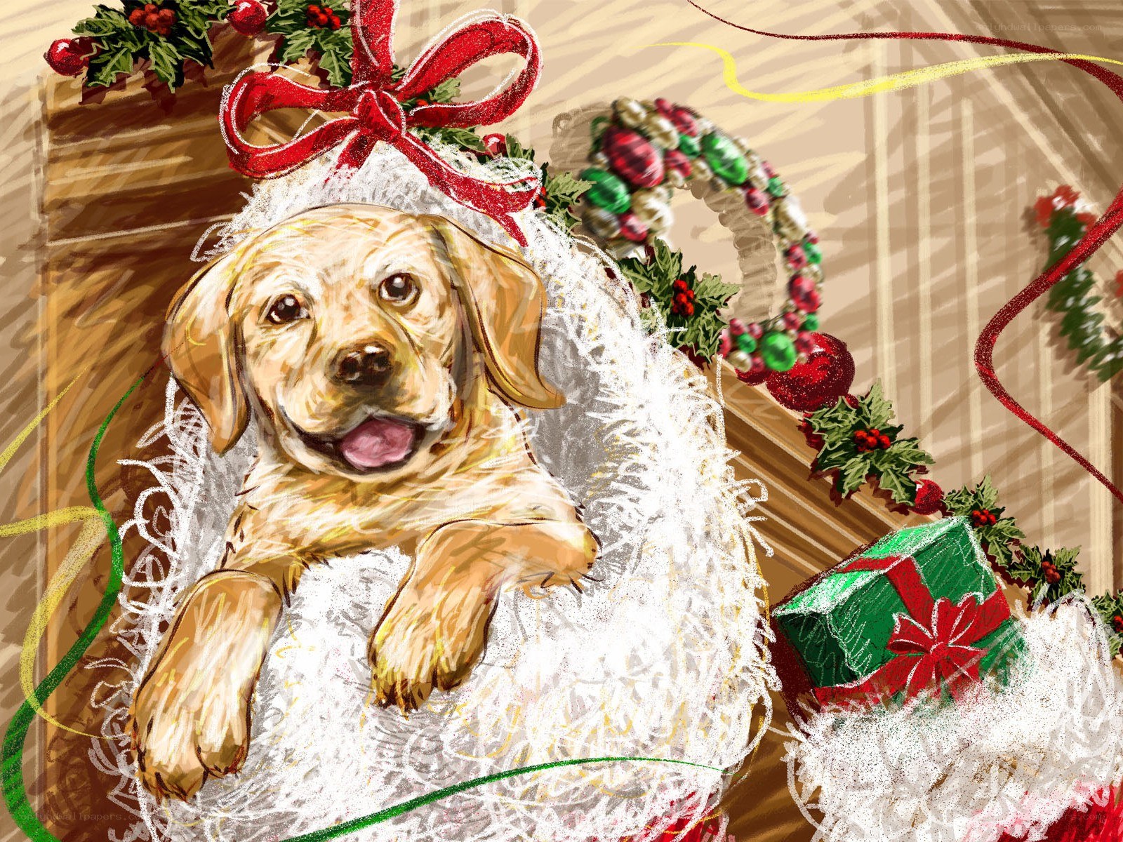 Puppy in Christmas stocking