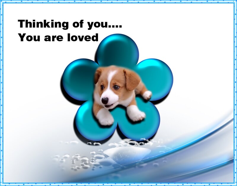 Puppy in Flower