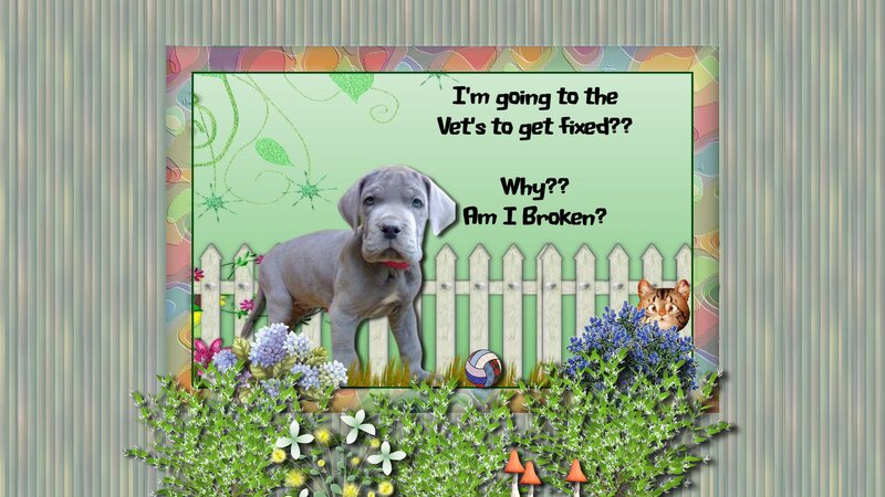 Puppy in Garden — Green
