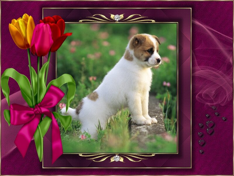Puppy in Garden — Purple