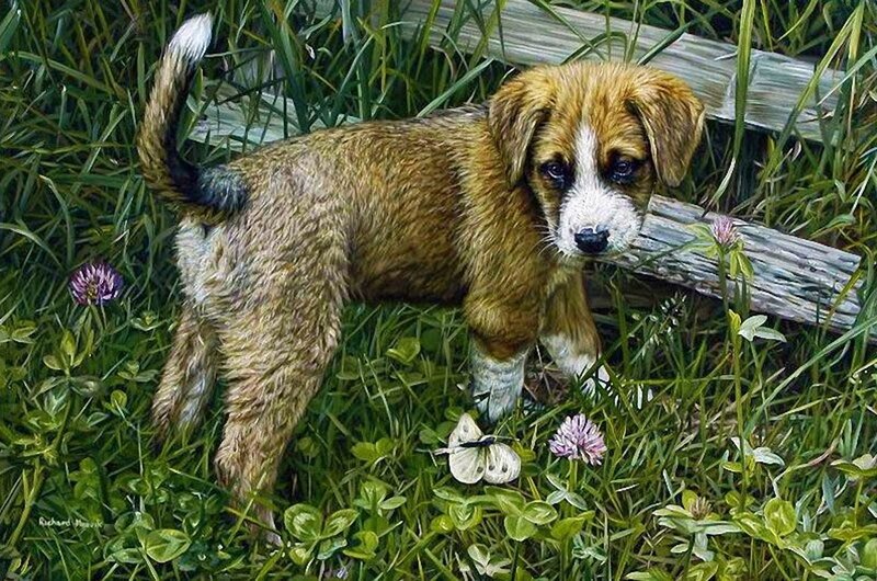Puppy in Grass — Green, Calm, Afternoon, Painting