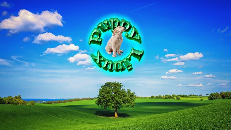 Puppy in Green Circle