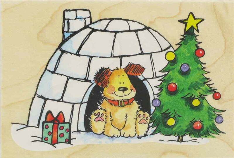 Puppy in Igloo