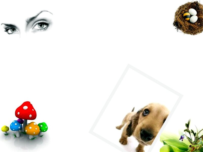 Puppy in Photo Frame
