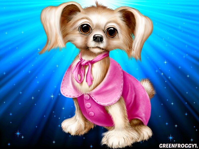 Puppy in Pink Coat