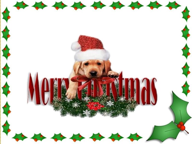 Puppy in Santa Hat — Green