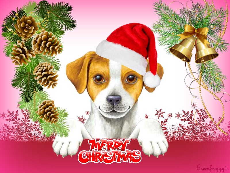 Puppy in Santa Hat — Pink