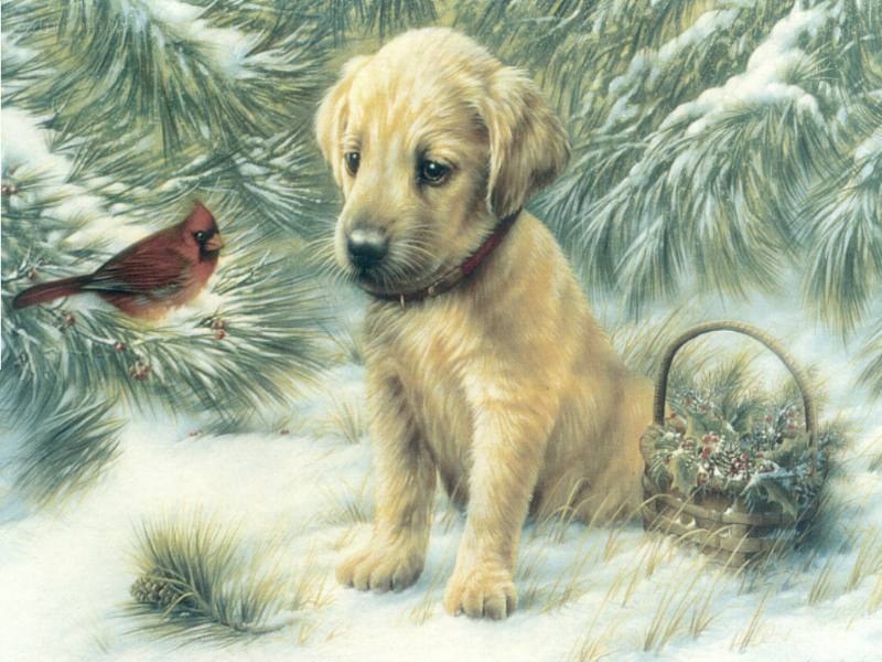 Puppy in winter scene