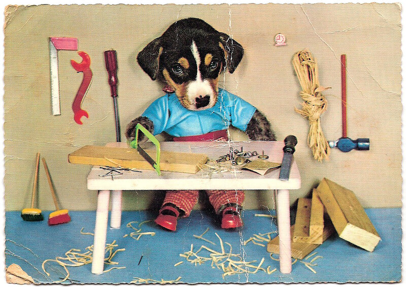 Puppy in Workshop