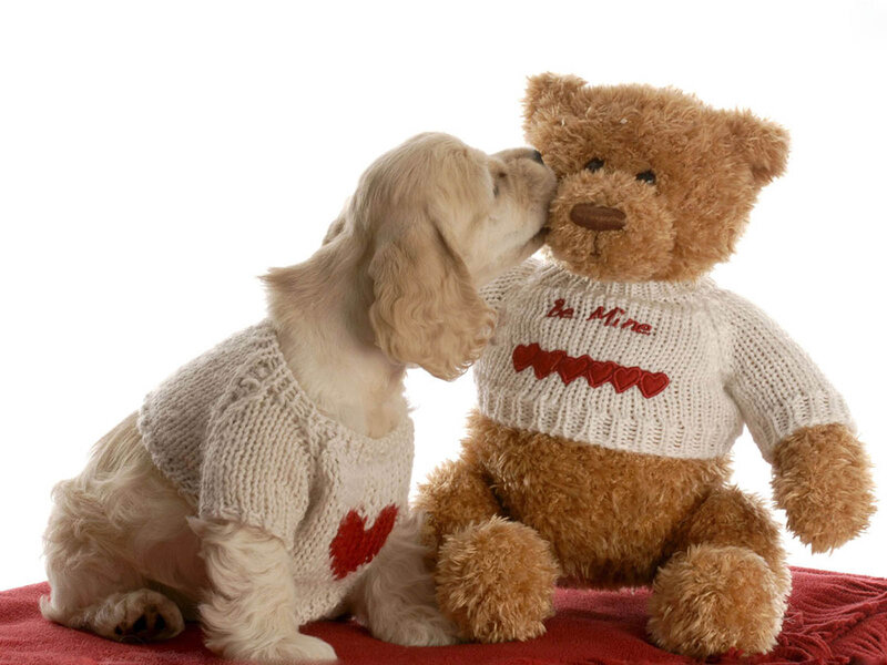 Puppy Kissing Teddy Bear