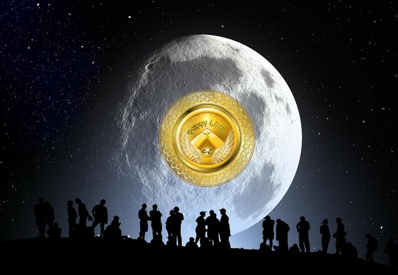 Puppy Linux Coin
