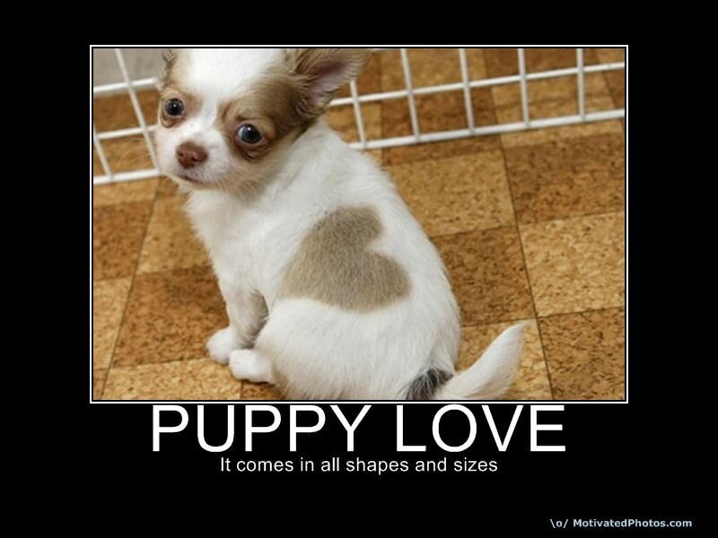 puppy love