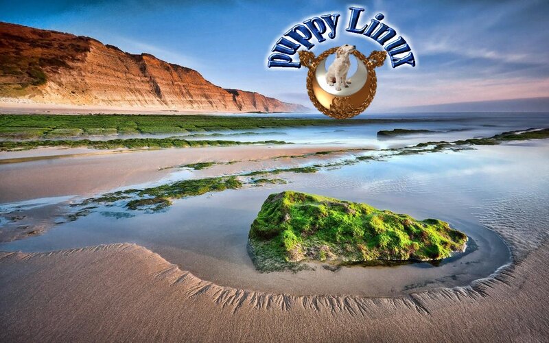 Puppy on Beach Landscape