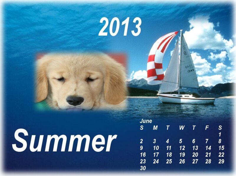Puppy on Calendar