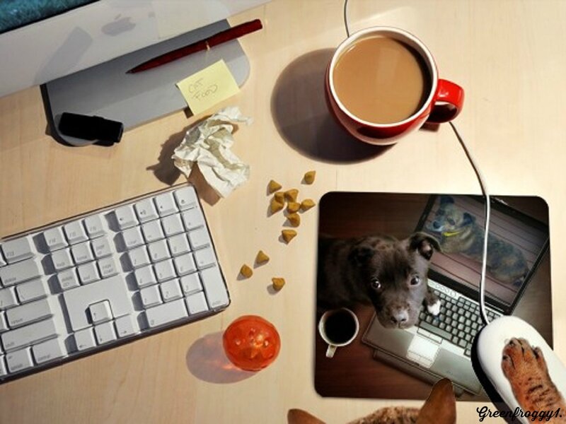 Puppy on Mousepad