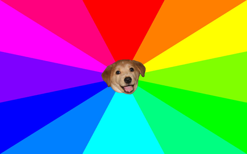 puppy on rainbow background