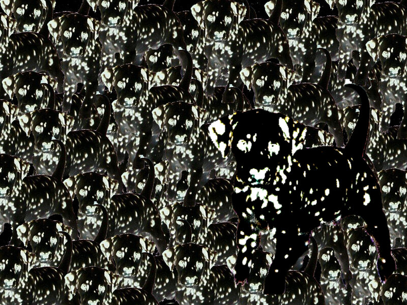 puppy pattern collage