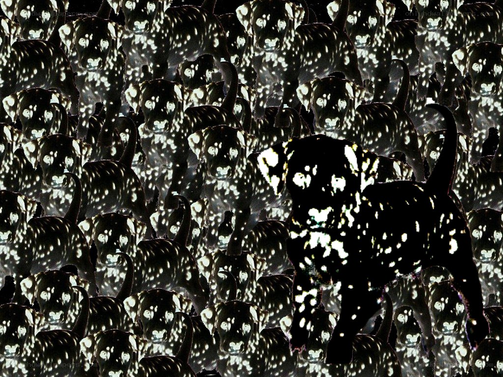 puppy pattern collage