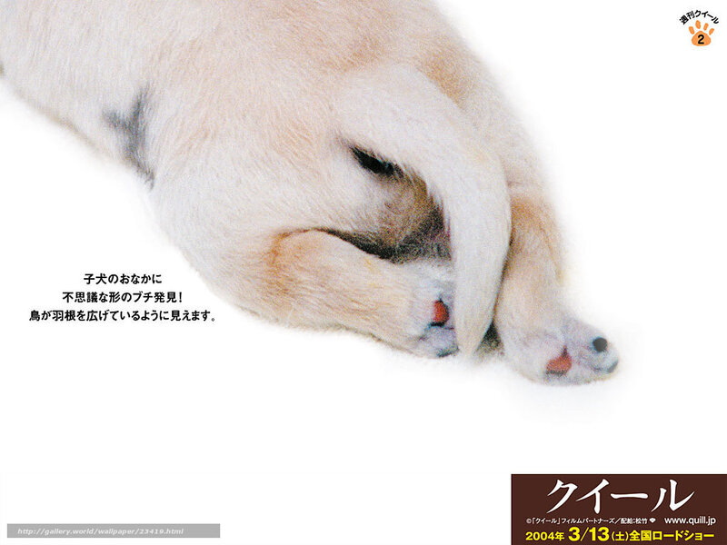 Puppy's back view with text
