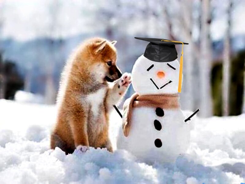 Puppy Touching Snowman