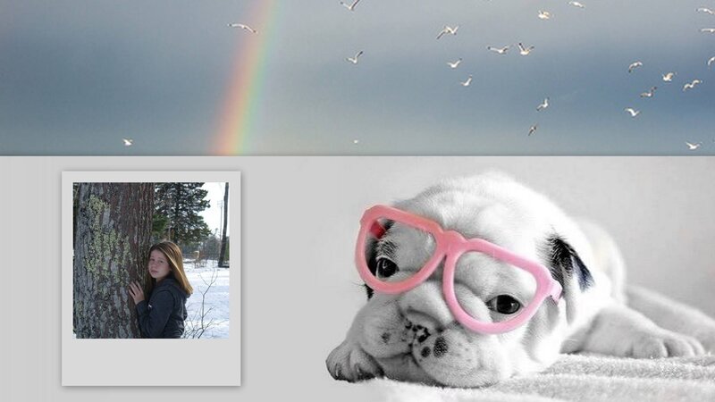 Puppy Wearing Glasses — White
