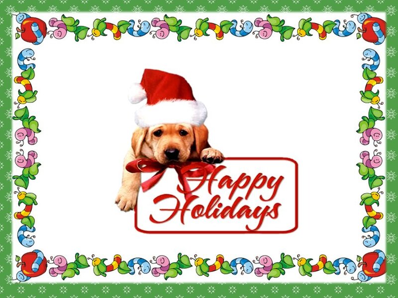 Puppy Wearing Santa Hat