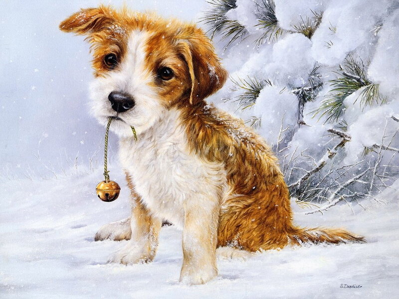 Puppy with Bell in Snow