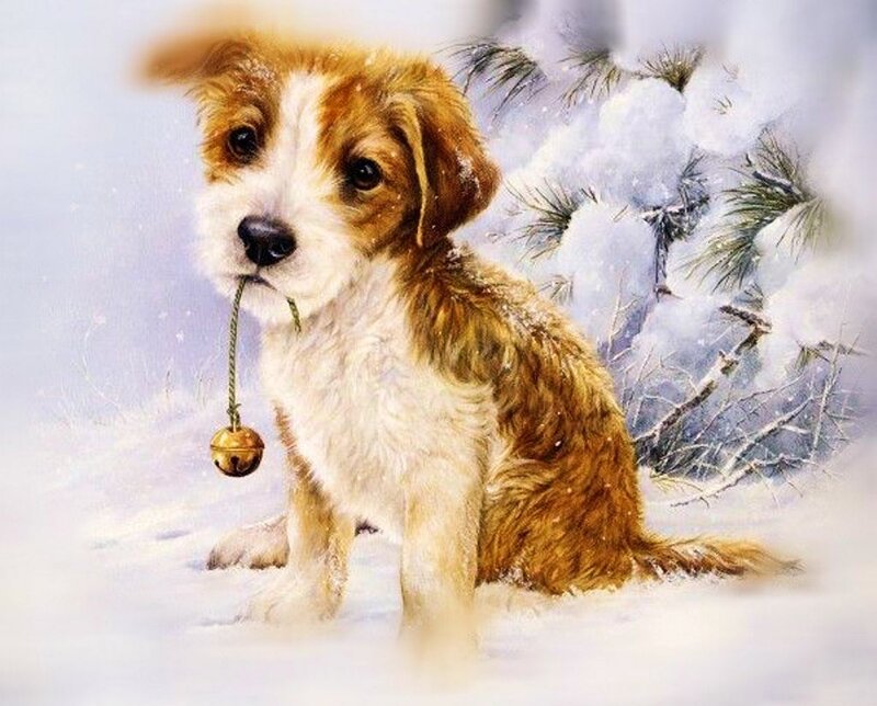 Puppy with Bell in Snow — White