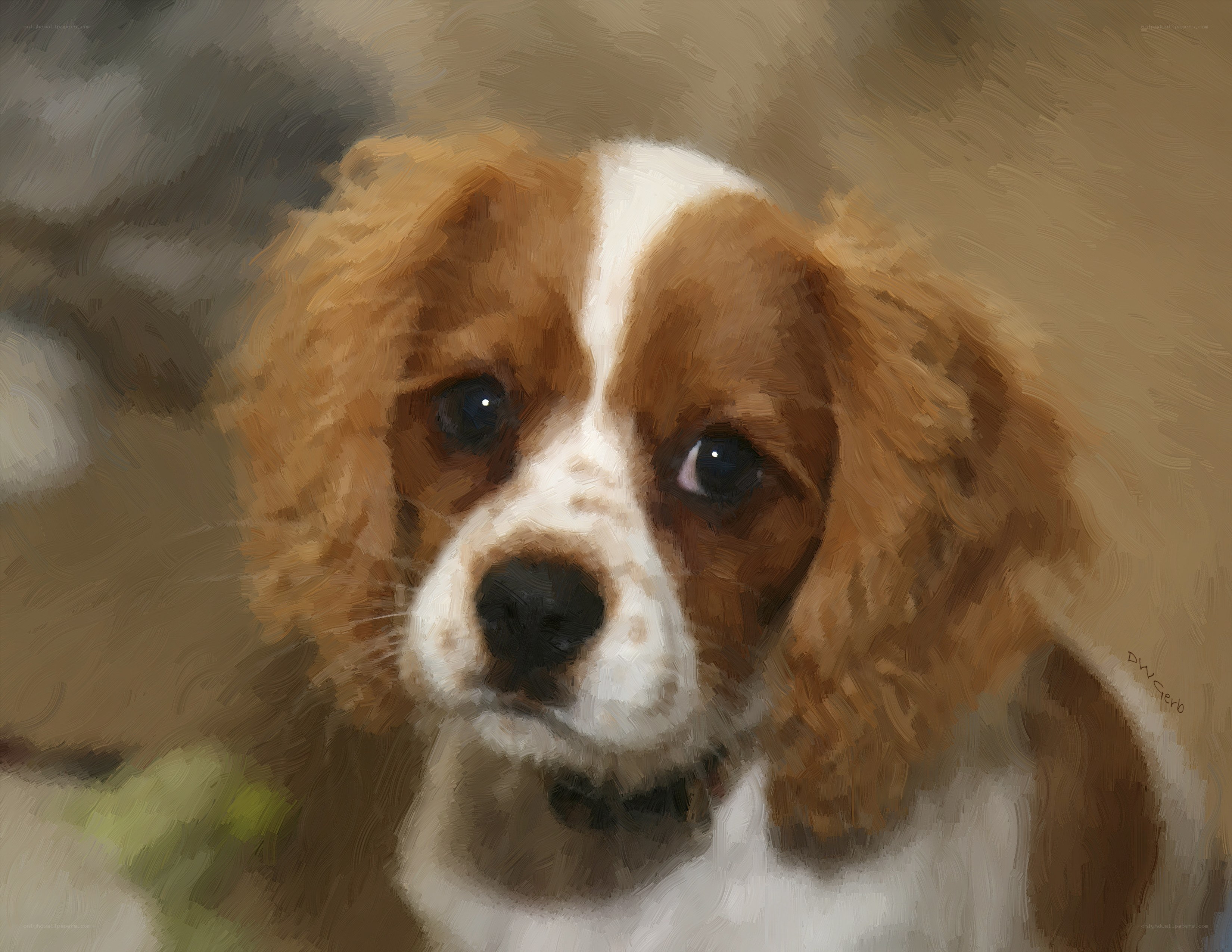 puppy with brown and white fur