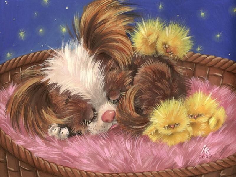 Puppy with Chicks