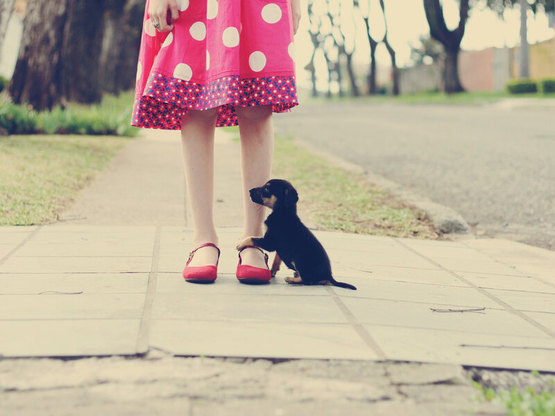 Puppy with Child