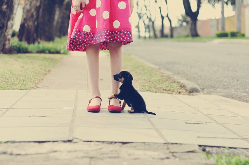 puppy with girl on sidewalk