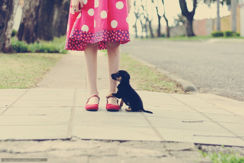Puppy with Girl — Pink