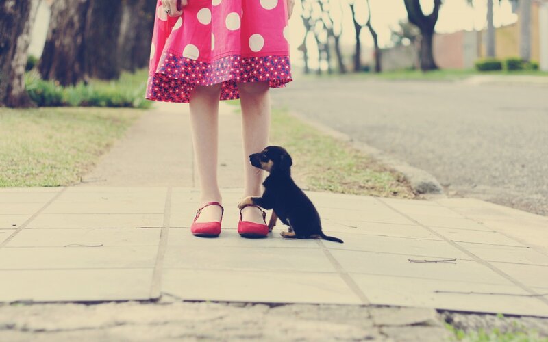 Puppy with Girl