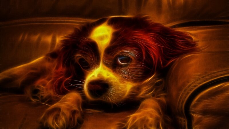 Puppy with Glowing Fur — Yellow