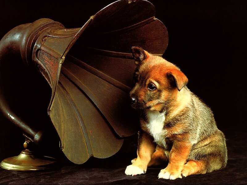 Puppy with Gramophone — Brown, Dramatic
